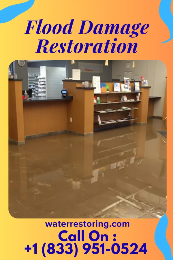 Flood Damage Restoration in Parkton, NC