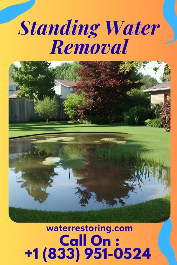 Standing Water Removal in Parkton, NC